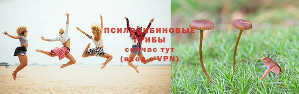 бошки Балабаново
