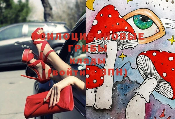соль ск Балахна