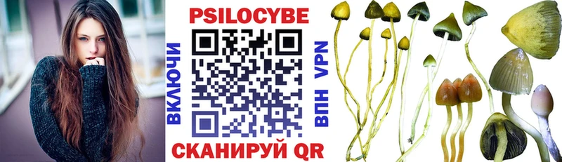 Купить закладки  Гулькевичи  Псилоцибиновые грибы GOLDEN TEACHER 
